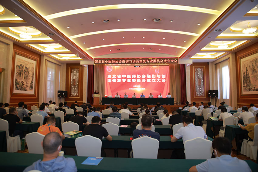 9170金沙集团_湖北省中医师协会烧伤与创面修复专业委员会建设大会暨第一届学术年会在武汉举行