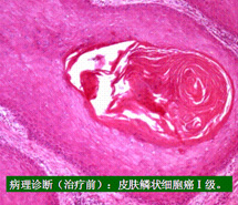 9170金沙(第一娱乐)娱城官网入口