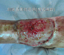 9170金沙(第一娱乐)娱城官网入口