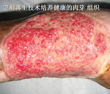 9170金沙(第一娱乐)娱城官网入口