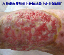 9170金沙(第一娱乐)娱城官网入口