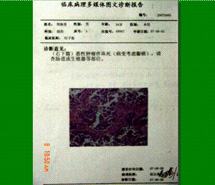9170金沙(第一娱乐)娱城官网入口