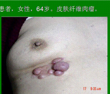 9170金沙(第一娱乐)娱城官网入口