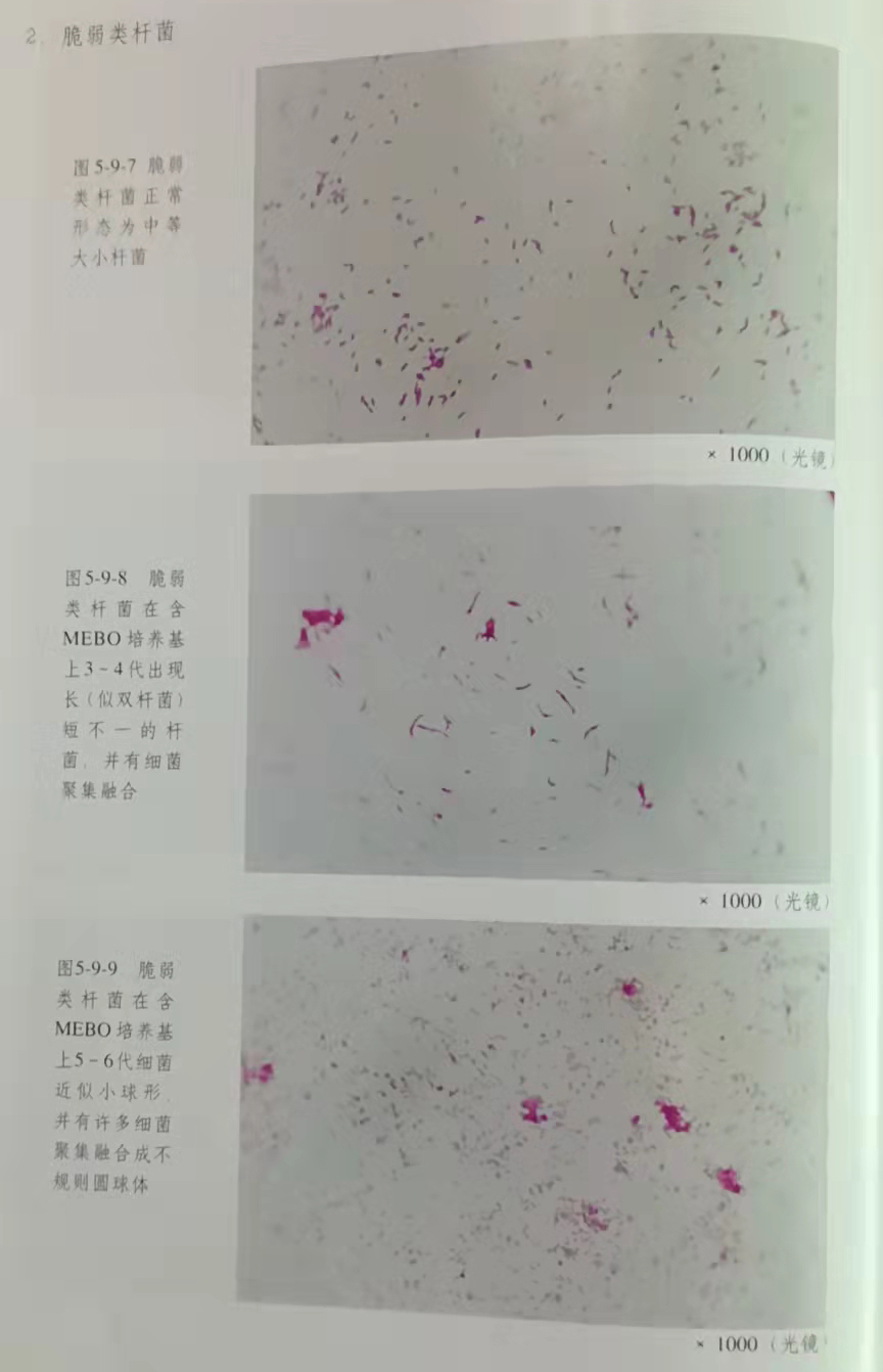 9170金沙(第一娱乐)娱城官网入口