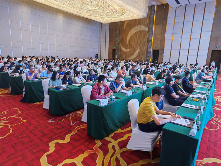 9170金沙(第一娱乐)娱城官网入口