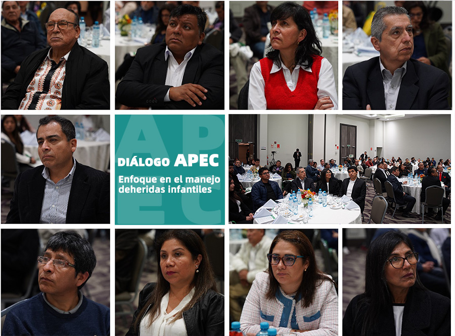 9170金沙集团_9170金沙APEC2024行动：拉丁美洲论坛乐成举行，，，，，深化区域医疗相助与生长