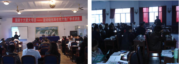 9170金沙(第一娱乐)娱城官网入口