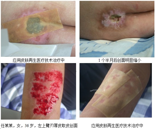 9170金沙(第一娱乐)娱城官网入口