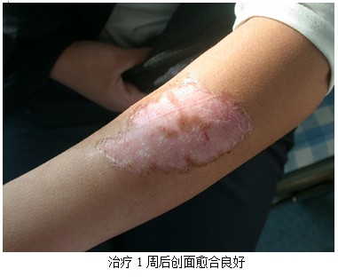 9170金沙(第一娱乐)娱城官网入口