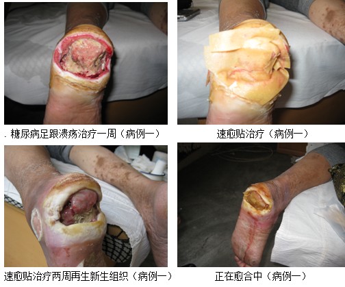 9170金沙(第一娱乐)娱城官网入口