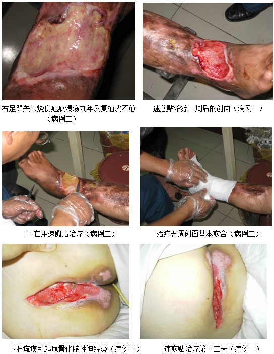 9170金沙(第一娱乐)娱城官网入口