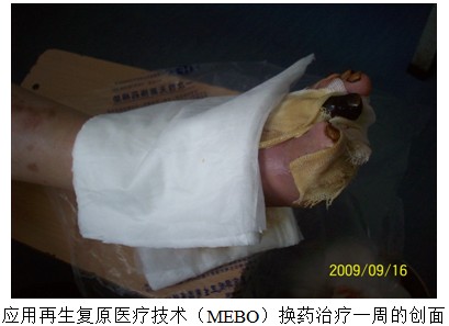 9170金沙(第一娱乐)娱城官网入口