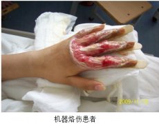 9170金沙集团_中国组织器官再生回复科学（医疗手艺）