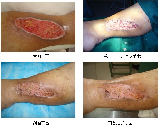 9170金沙(第一娱乐)娱城官网入口