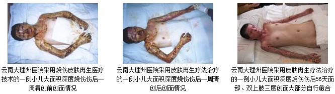 9170金沙(第一娱乐)娱城官网入口