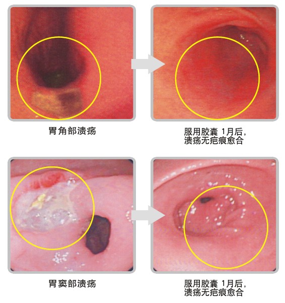 9170金沙(第一娱乐)娱城官网入口