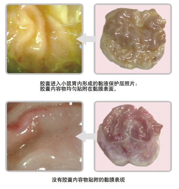 9170金沙(第一娱乐)娱城官网入口