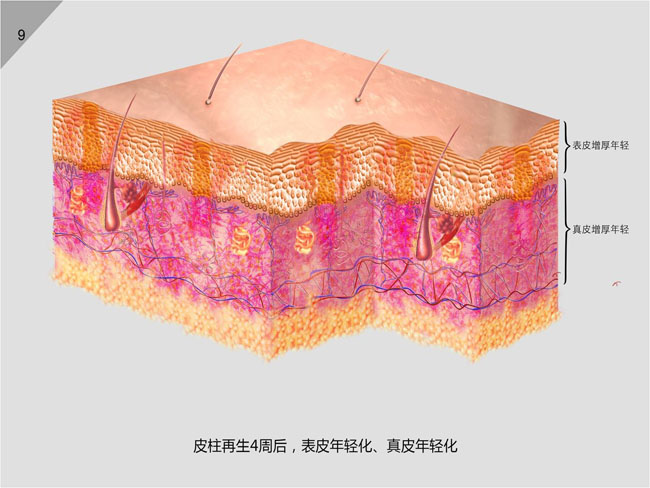 9170金沙(第一娱乐)娱城官网入口
