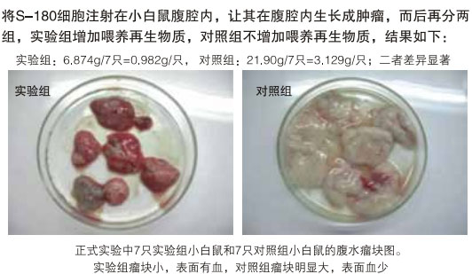 9170金沙集团_八、再生抗癌的研究