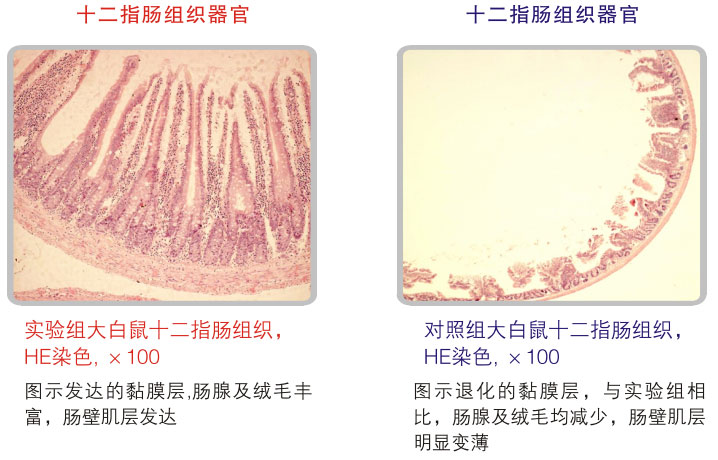 9170金沙集团_五、科学验证