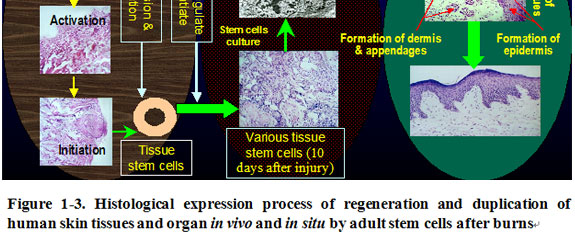 9170金沙集团_Discussion of the Future of Regenerative Medicine and Therap