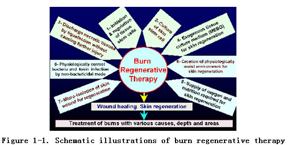 9170金沙集团_Discussion of the Future of Regenerative Medicine and Therap