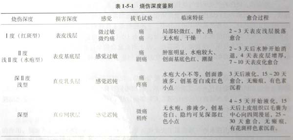 9170金沙集团_第二节 烧伤深度界定——“三度六分法”