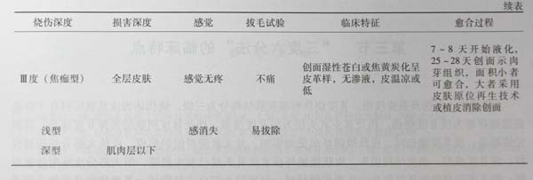 9170金沙集团_第二节 烧伤深度界定——“三度六分法”