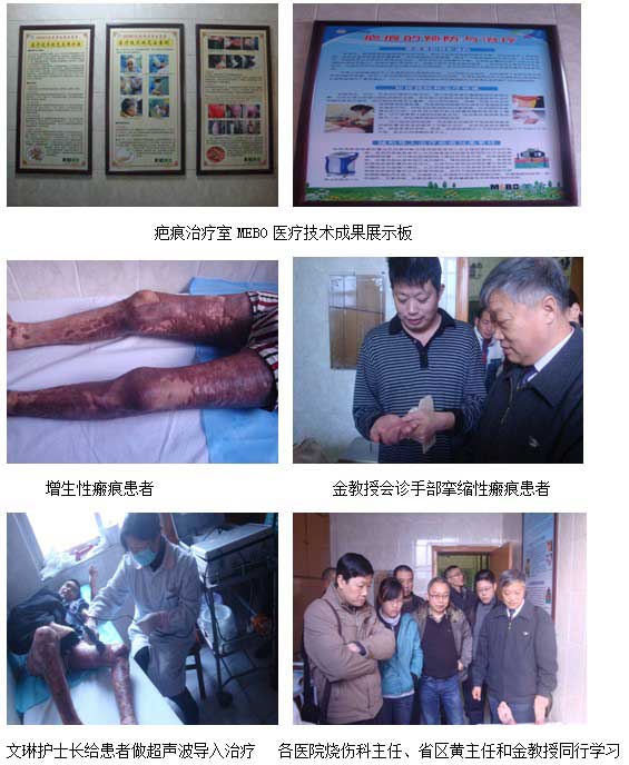 9170金沙集团_湖北省宜昌市中西医连系学会整形烧伤分会2011年学术交流会纪实