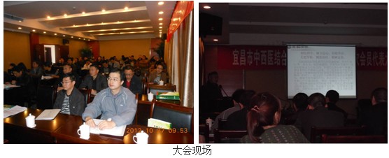 9170金沙集团_2012年宜昌市中西医连系学会烧伤整形分会暨第四次会员代表大会圆满召开