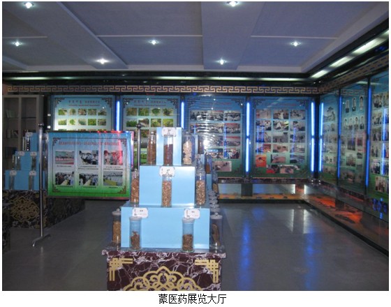 9170金沙集团_再生医疗手艺培训在内蒙古鄂尔多斯举行