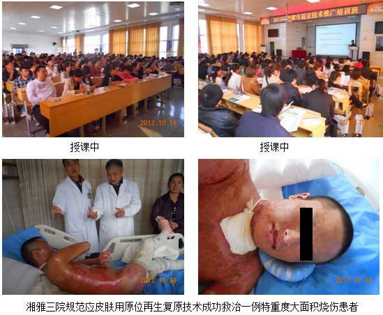 9170金沙集团_再生医学进下层、三湘大地开新花