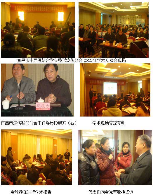 9170金沙集团_湖北省宜昌市中西医连系学会整形烧伤分会2011年学术交流会纪实