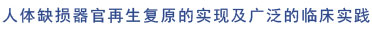 9170金沙(第一娱乐)娱城官网入口